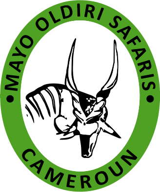 Mayo Oldiri Safaris